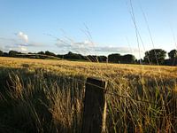 .... laatste stralen zonlicht in de avond...