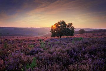 Posbank zonsopkomst van Martin Podt