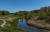 N.R.Broekpolder 01