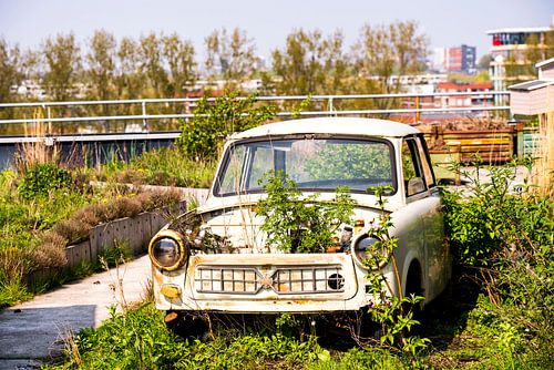 Overwoekerde Trabant in Amsterdam