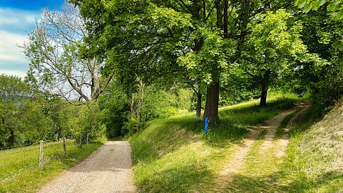 De Sousberg in Schin op Geul, Limburg Nederland