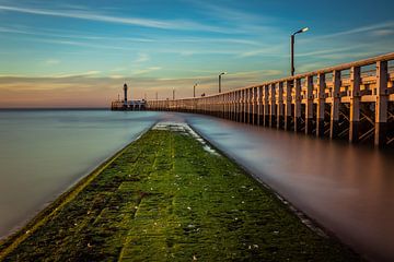 Newport by Wim van D