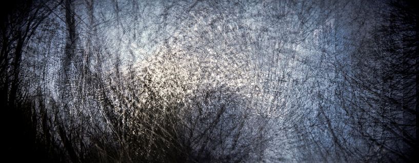Urbaner Wald I von Sebastian Schimmel