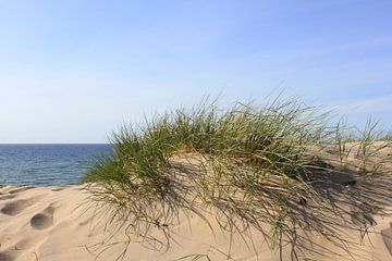 Dunes van Ostsee Bilder