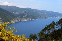 Blick auf vier der fünf Cinque Terre, Ligurien, Italien mit sonnigem Himmel, blauem Meer und Blumen