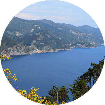 Zicht op vier van de vijf Cinque Terre, Ligurië, Italië met zonnige hemel, blauwe zee en bloemen van Studio LE-gals