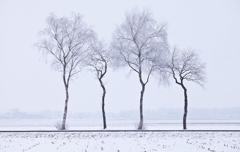 Bäume von Anne Koop