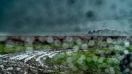 Een verregende dag van Peter Smeekens