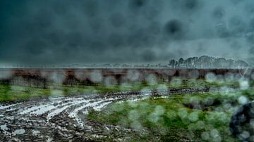A rainy day by Peter Smeekens