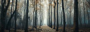 Spaziergang im Wald