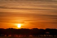Zonsondergang in de Afrikaanse savanne