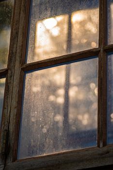 Sonnenglanz durch das Fenster im Hortus Leiden