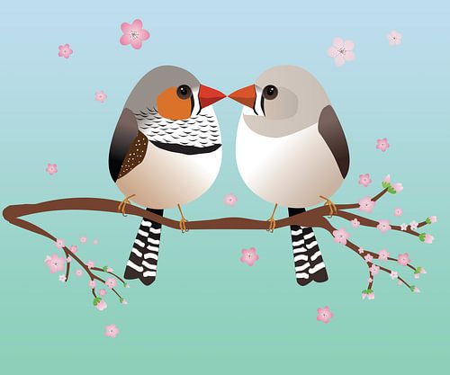 Schattige bolle zebravinkjes