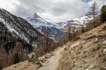 Zermatt - Weg nach Findeln (Gourmetweg) von t.ART