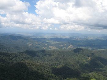 Springbrook National Park