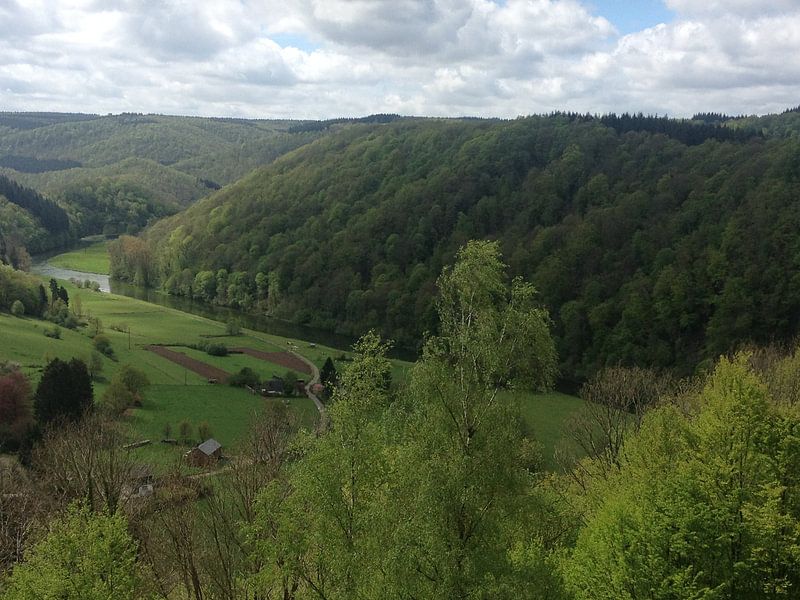 de Moezel by Mirjam van Ginkel