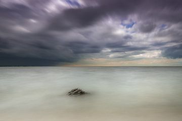 Rots in het water van Jos Reimering