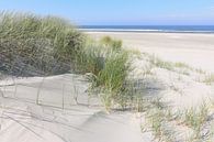 Dünen und Meer von Harry Wedzinga Miniaturansicht