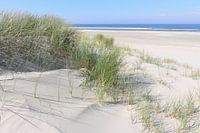Dunes and sea