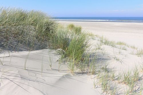Dunes and sea