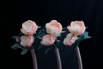 2 roses colorées