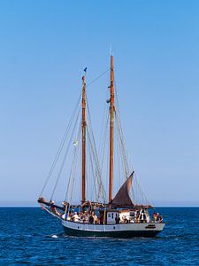 Segelschiff auf der Ostsee während der Hanse Sail in Rostock