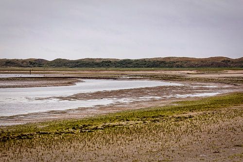 Naturschutzgebiet De Slufter auf der Insel Texel