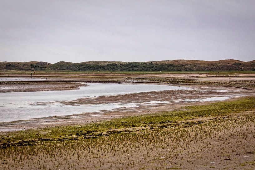 Naturschutzgebiet De Slufter auf der Insel Texel von Rob Boon