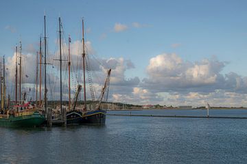 Hollands plaatje van Roelinda Tip