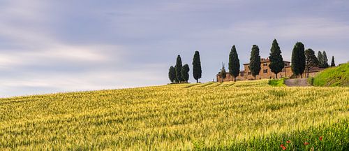 Farmhouse Genna Borborini Maria Eva - Val d'Orcia II