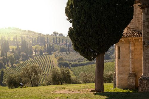 Paysage toscan (Castelnuovo dell' Abate)