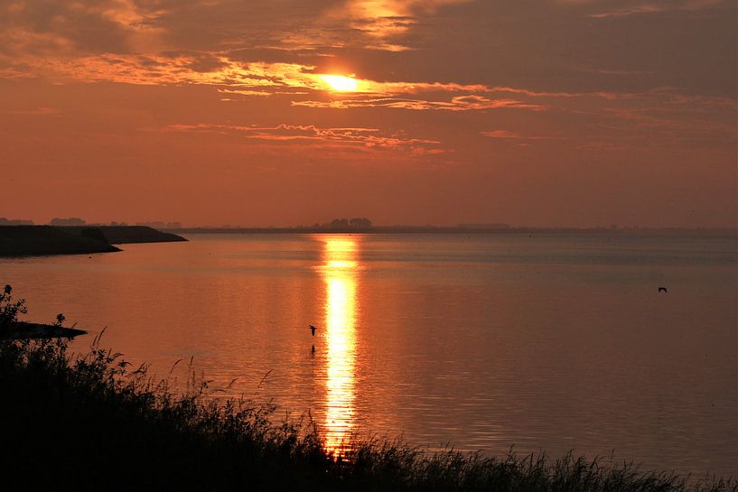 Sunset II van Marco van de Pol