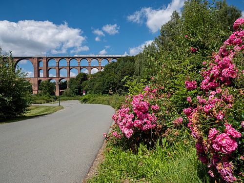 Göltzschtal brug in het Vogtland in de lente