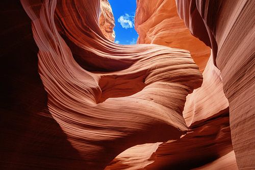 La dame dans le vent