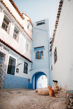Versteckte Straßen in Marokko von Marika Huisman fotografie