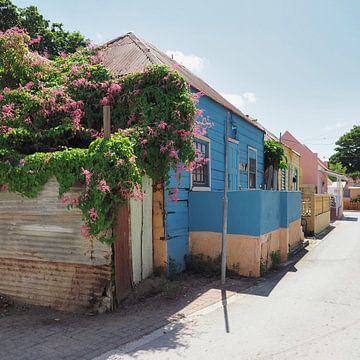 Kunuku houses Scharloo Willemstad by Atelier Liesjes