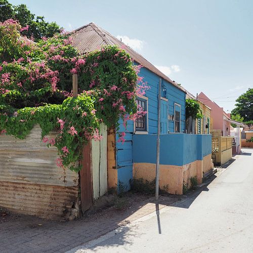 Kunukuhuizen Scharloo Willemstad