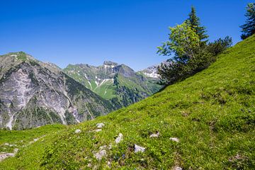 Schneck, 2268m en Großer Wilder, 2379m, Hochvogelgruppe en Rosszahngruppe, Allgäuer Alpen van Walter G. Allgöwer