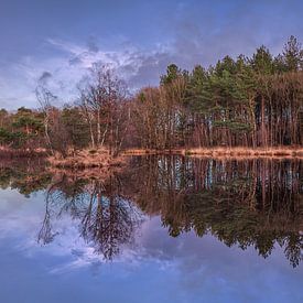 Daybreak with blue sky and forest edge reflected in a lake by Tony Vingerhoets