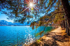 Sonnenstern über dem Zellersee