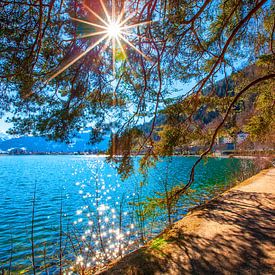 Sonnenstern über dem Zellersee von Christa Kramer