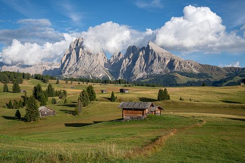 Alpe di Siusi, South Tyrol, Italy