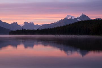 Maligne Lake, Jasper, Alberta, Canada by Alexander Ludwig