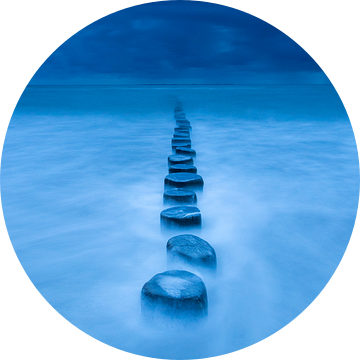 Blauwe paaltjes - Natuurlijk Ameland