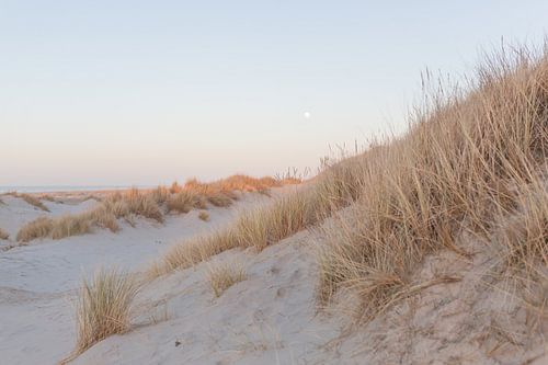 De maan boven de duinen in avondlicht