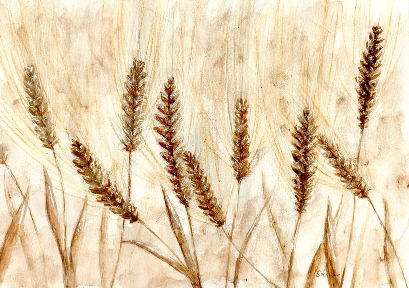 Kornfeld von Sandra Steinke