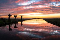 Mijzenpolder sunset