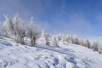 A snow-covered mountain landscape with frost-covered trees beneath a blue sky. Lachtal Ski Resort, Styria, Austria