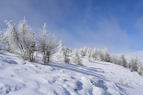 Paysage montagneux enneigé avec des arbres recouverts de glace sous un ciel bleu. Station de ski de Lachtal, Styrie, Autriche