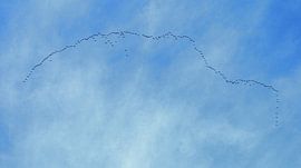 Southwards van Tina Hartung